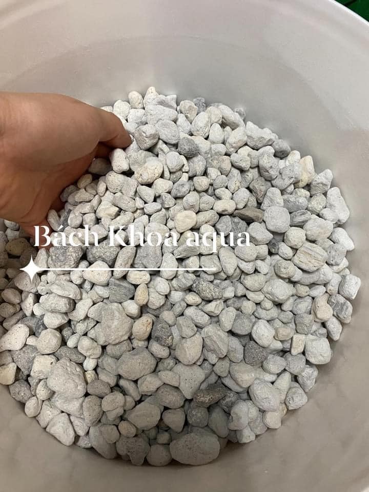 Vật liệu lọc Seachem Matrix 1L - 4L - 20L
